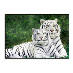 Gorgeous White Tiger Couple Wildlife Painting for Living Room