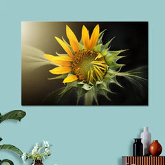 Nature Sunflower Scenery Canvas Prints Wooden Wall Painting
