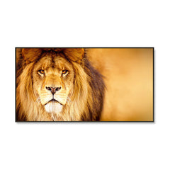 Life-Like African Male Lion Wall Portrait / Wildlife Painting