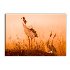 Striking Sarus Crane Rectangular Canvas Wall Painting