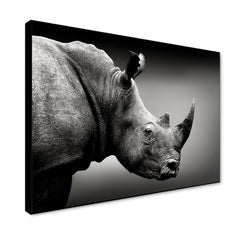 Monochromatic Rhino Portrait Canvas Painting