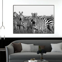 Monochromatic Zebra Wildlife Painting