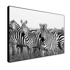 Monochromatic Zebra Wildlife Painting