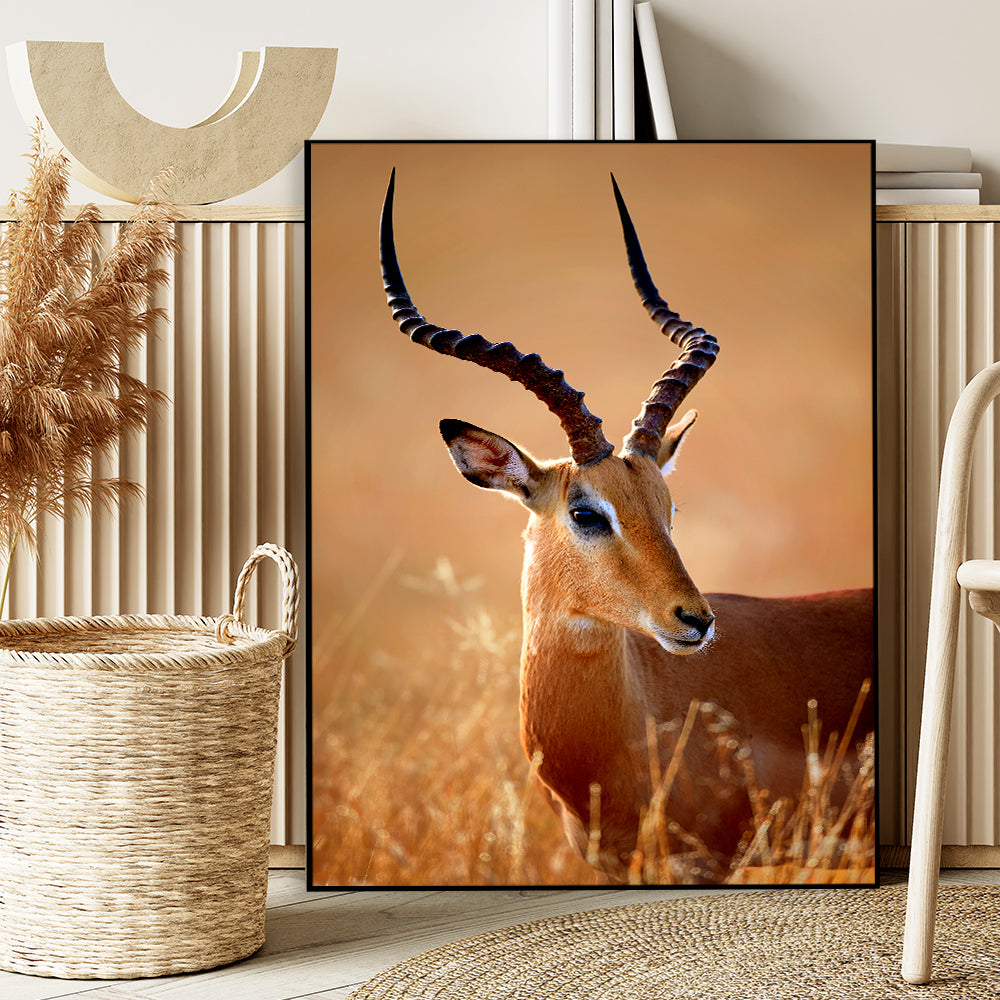 Realistic Impala Male Wildlife Wall Art