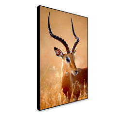 Realistic Impala Male Wildlife Wall Art