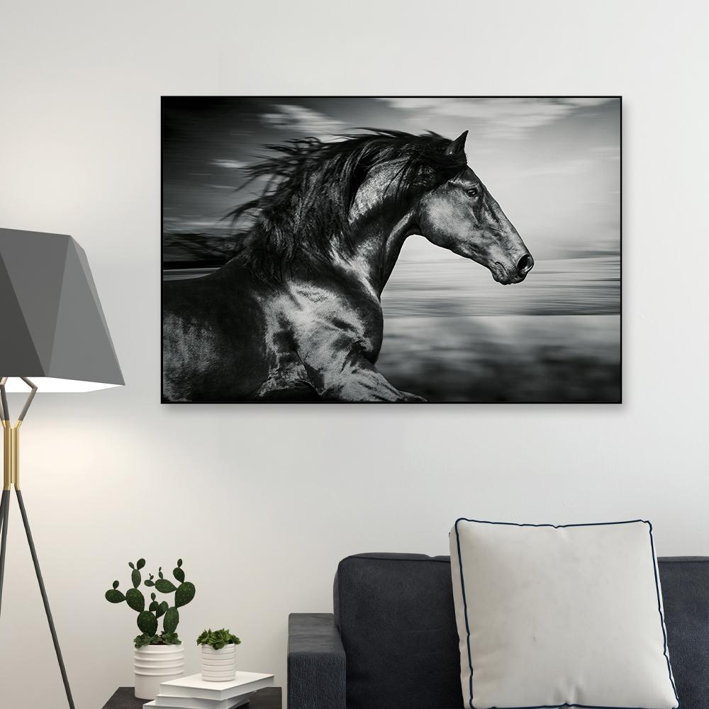 Ferocious Light- Canvas Print