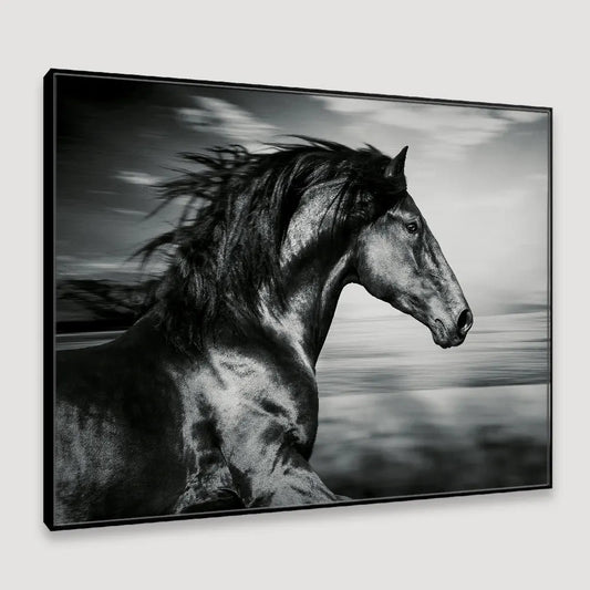 Ferocious Light- Canvas Print