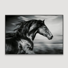 Ferocious Light- Canvas Print