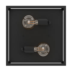 2 Bulb Steel Ceiling Light With Black Clear Glass