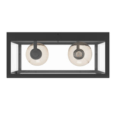 2 Bulb Steel Ceiling Light With Black Clear Glass