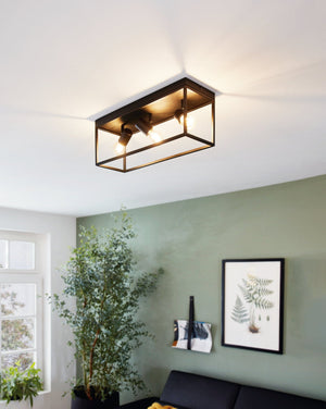 Ceiling Light