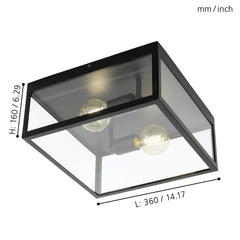 2 Bulb Steel Ceiling Light With Black Clear Glass