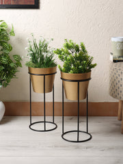 Big Pot Shape Planter with Stand Black & Gold Set of 2