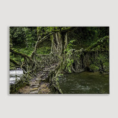 Living Roots Bridge Framed Wall art