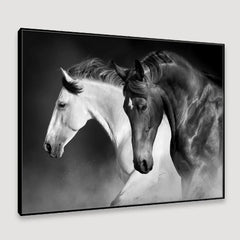 Majestic Stallions Framed Wall art