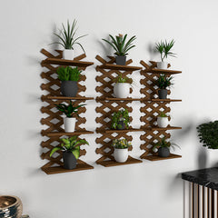 Criss Cross Designer Dark Walnut Planter Wall Shelves Set Of 3