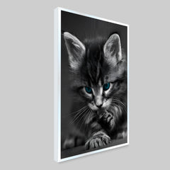 Beautiful Blue Eyed Baby Cat Home Office Decorative Canvas  Wall Paintings