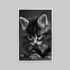 Beautiful Blue Eyed Baby Cat Home Office Decorative Canvas  Wall Paintings