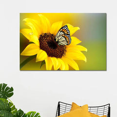 Sunflower With Butterfly Canvas Prints Wooden Wall Painting