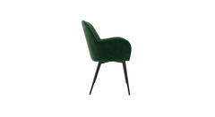 Green Araceli Accent Chair