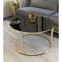 Luxury Metal Designer Center Table with White Marble
