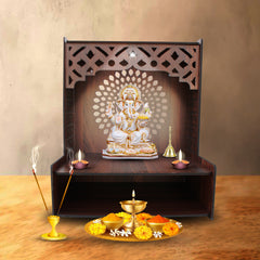 Portable Pooja Mandir for Home with Spacious Shelf & Inbuilt Focus Lights