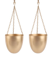 Hanging Capsule Planter Set of 2