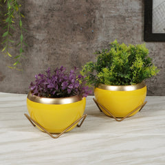 Apple Shape Metal Yellow & Gold Planter Set of 2