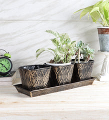 Black & Gold Metal Table Planters with Tray Set of 4