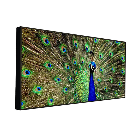 Dancing Peacock Cheerful Canvas  Wall Painting