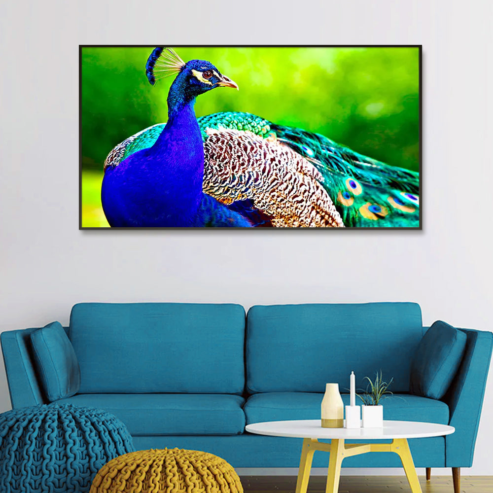 Beautiful Peacock Big Panoramic Canvas  Wall Painting