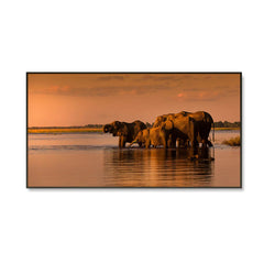 Elephants Along Chobe River During Sunset Canvas Art / Wildlife Painting