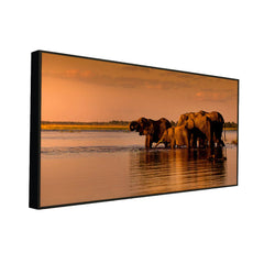 Elephants Along Chobe River During Sunset Canvas Art / Wildlife Painting