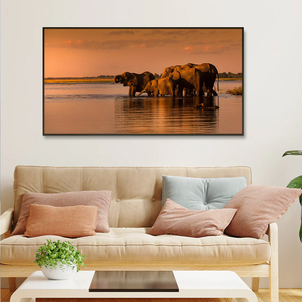 Elephants Along Chobe River During Sunset Canvas Art / Wildlife Painting